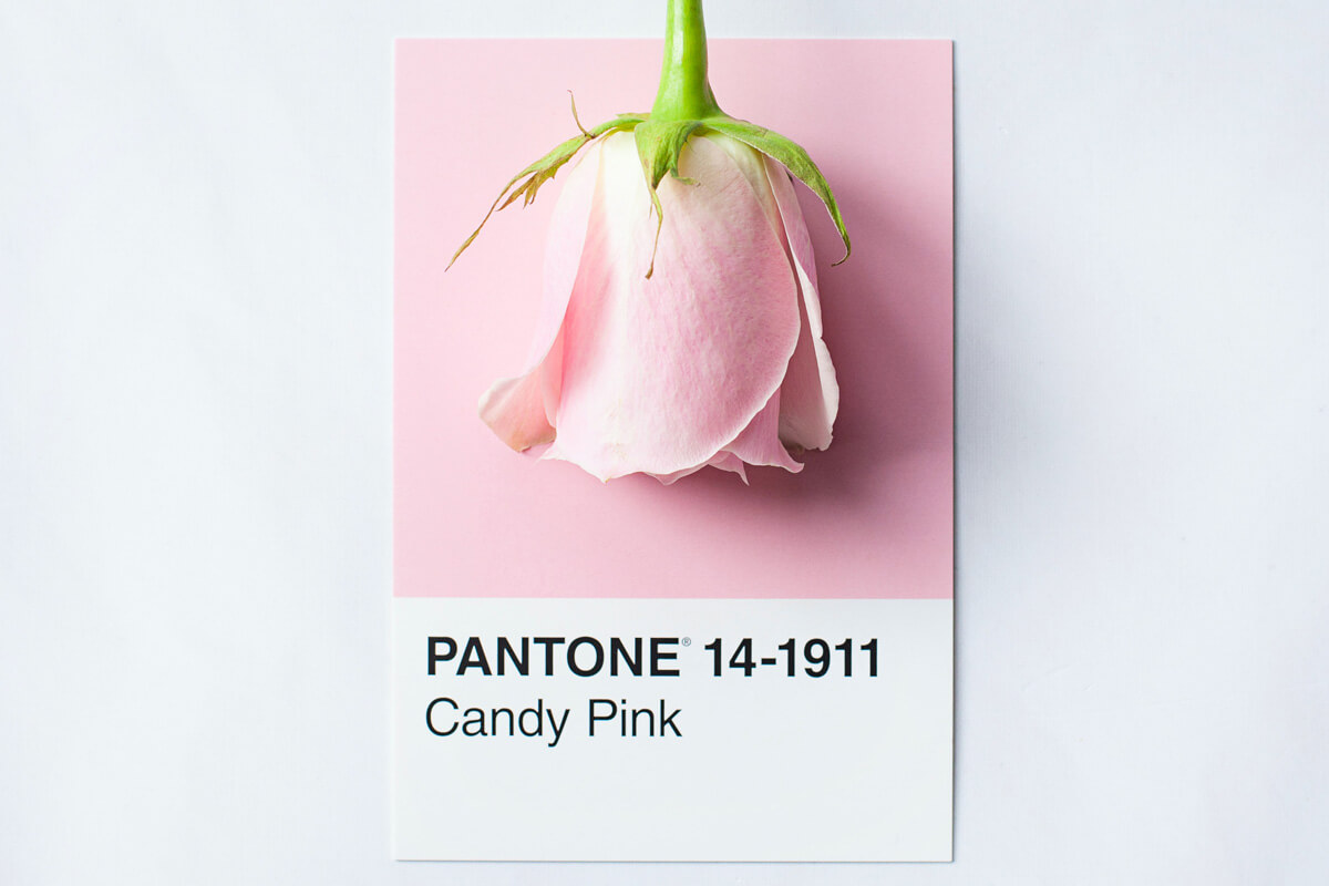 Co to jest kolor Pantone