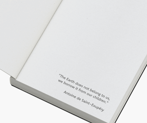 papier nautilis przykład